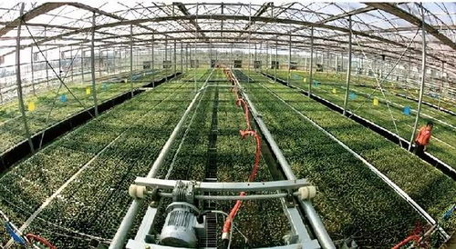 AI引領農業變革 未來十年我國將停止無公害農產品認證