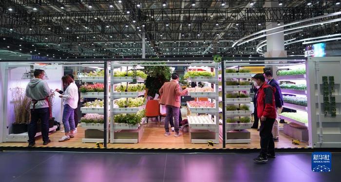 進(jìn)博會(huì)上看“集裝箱里種菜” 科技賦能農(nóng)業(yè)新變革